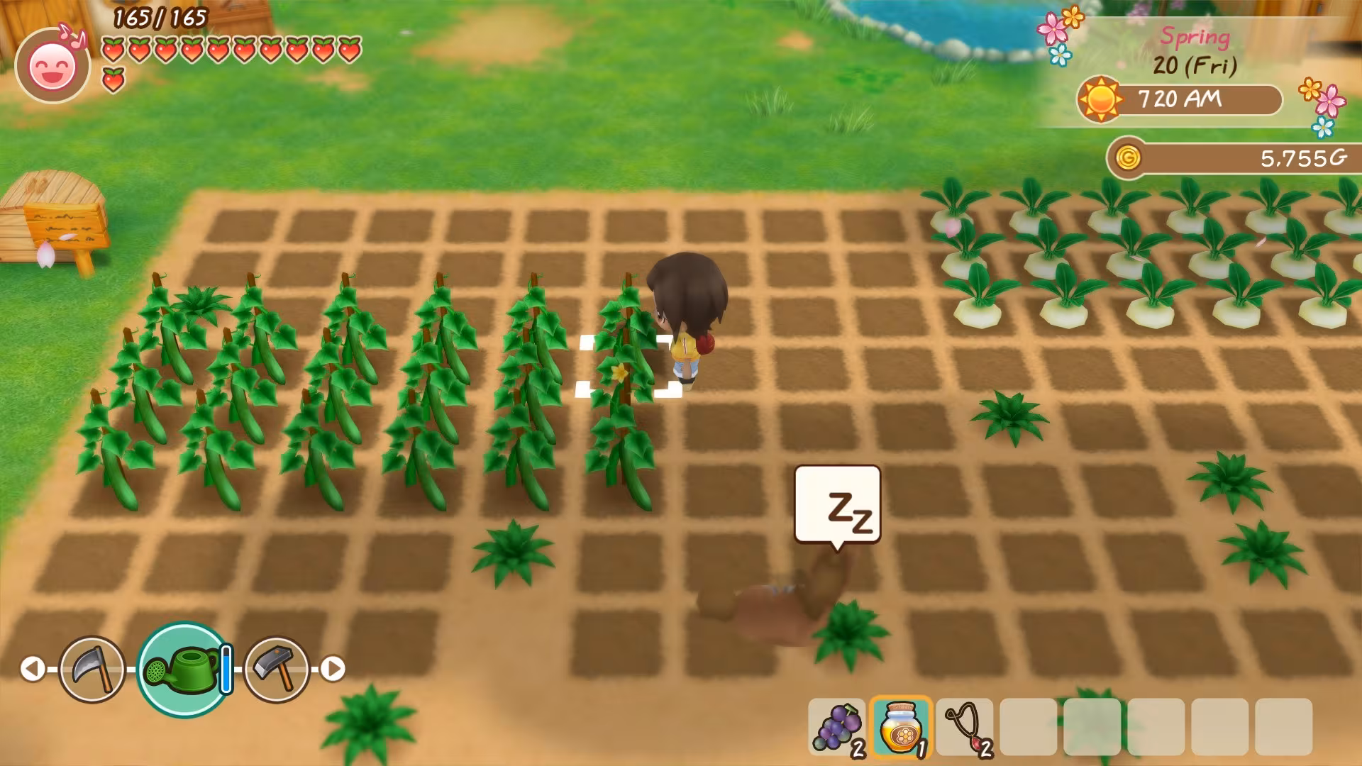 STORY OF SEASONS: Friends of Mineral Town - story-of-seasons-friends-of-mineral-town_3.avif