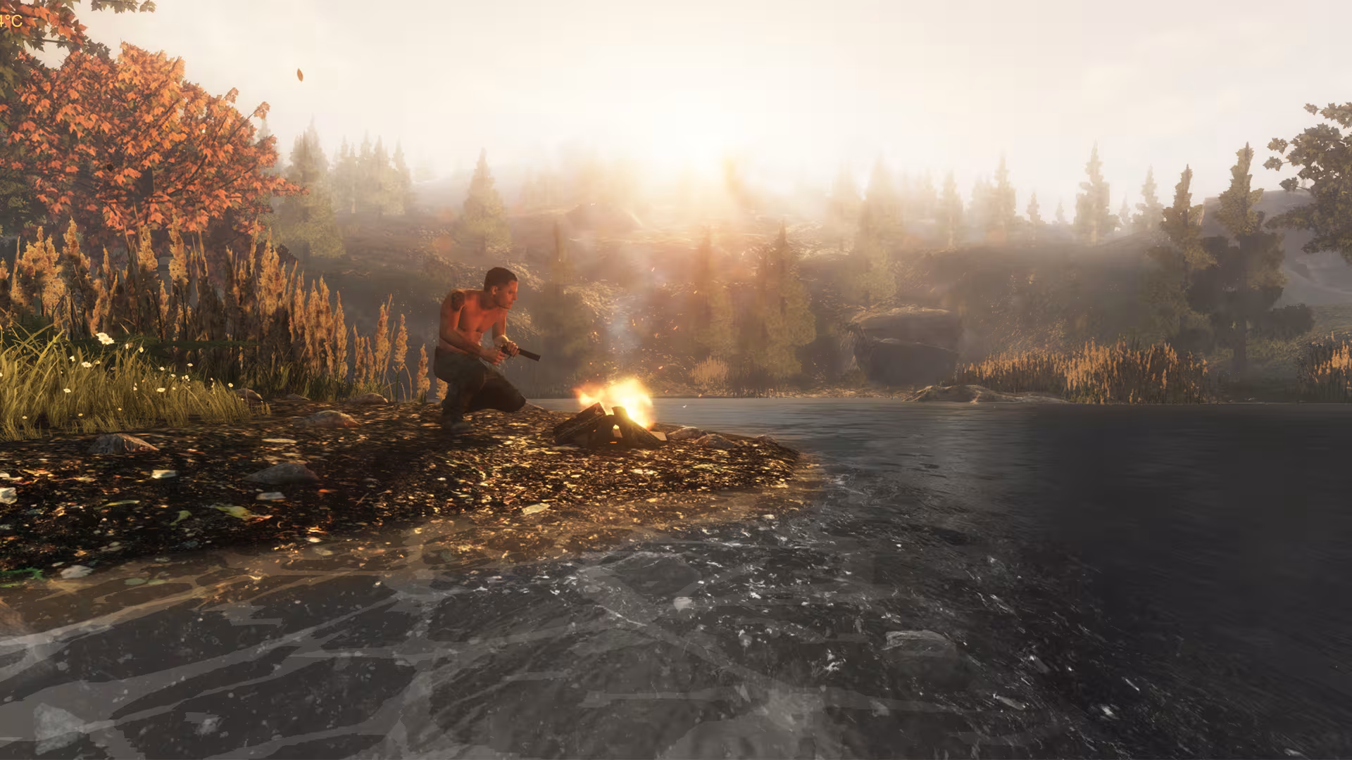 Subsistence - subsistence_1.avif