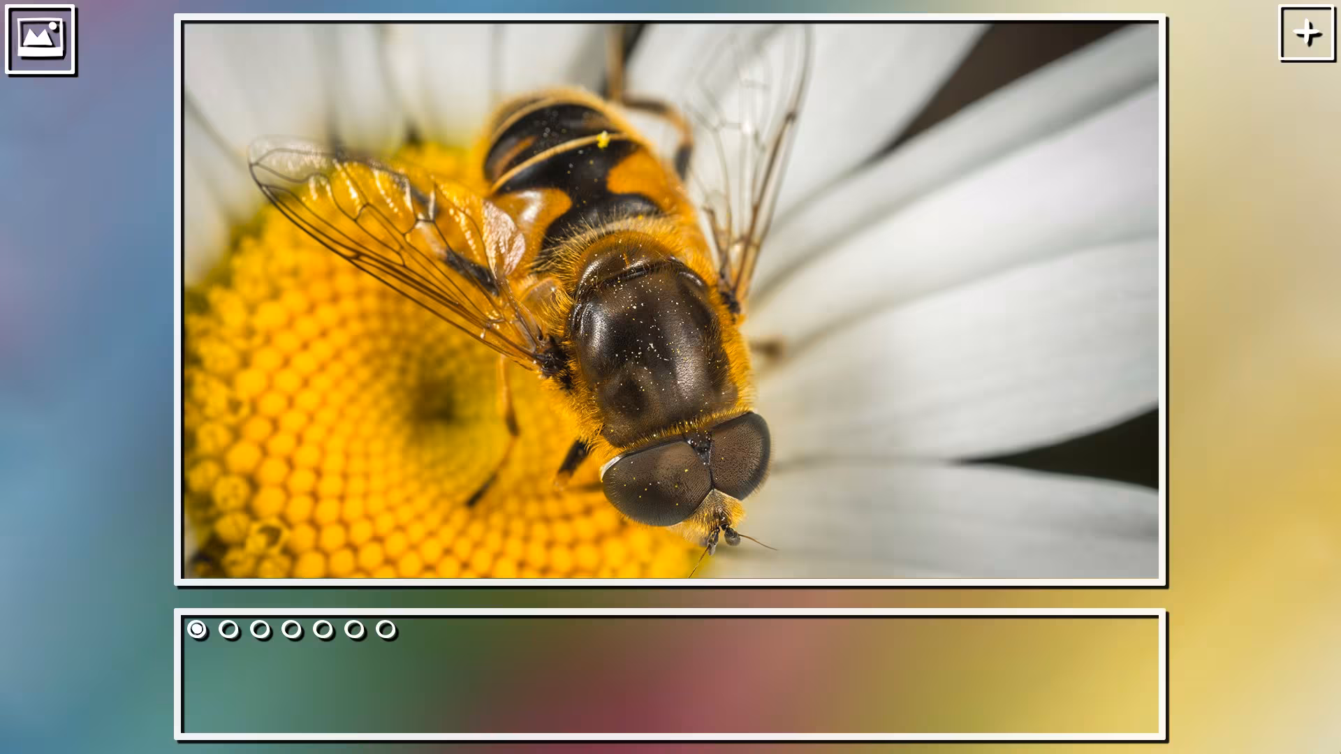 Super Jigsaw Puzzle: Generations - super-jigsaw-puzzle-generations_6.avif