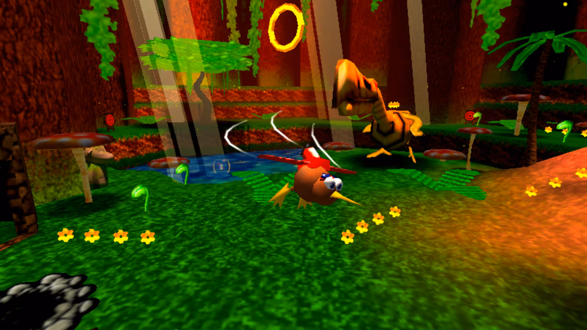 Super Kiwi 64 - super-kiwi-64_2.avif