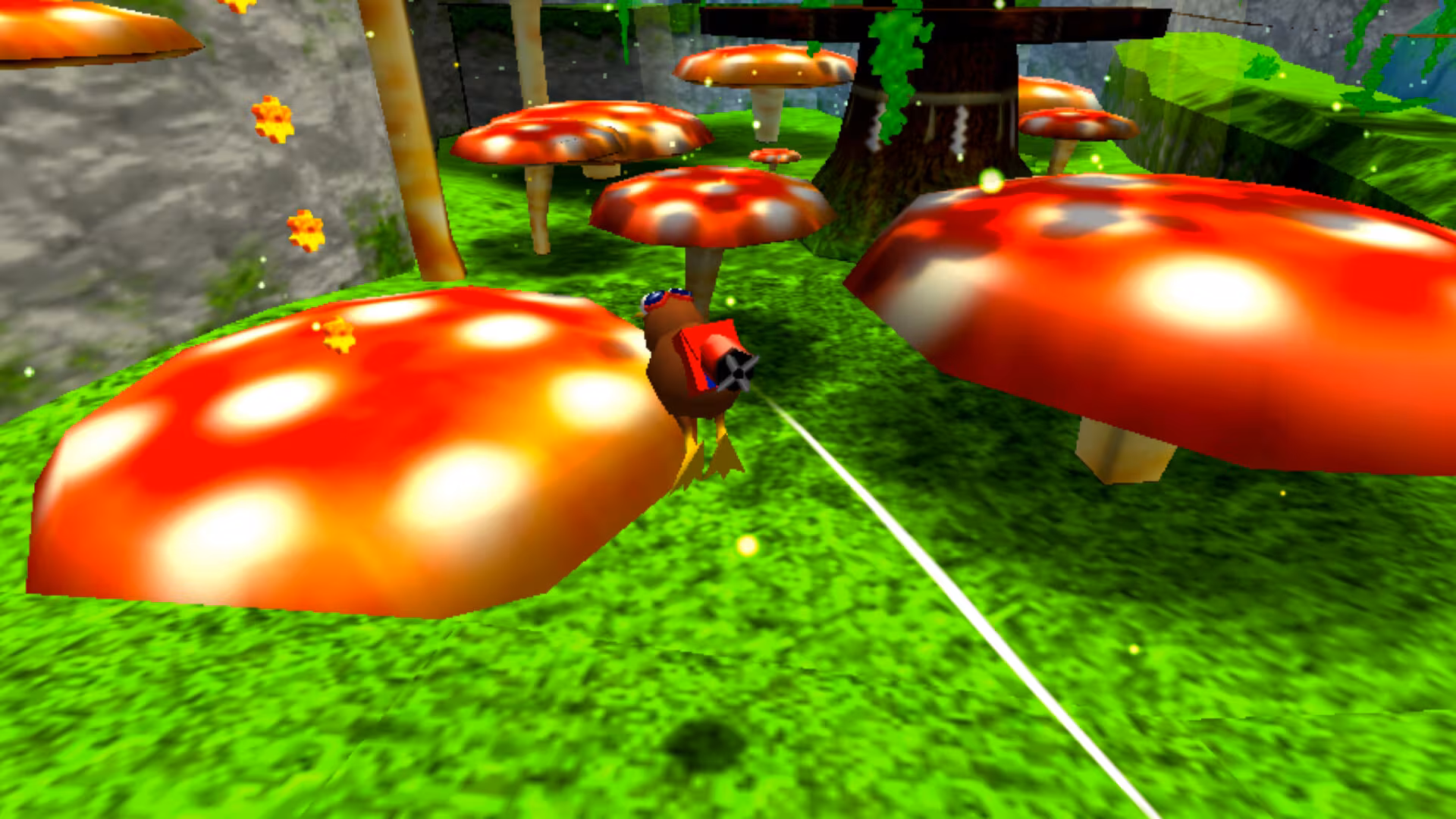 Super Kiwi 64 - super-kiwi-64_3.avif