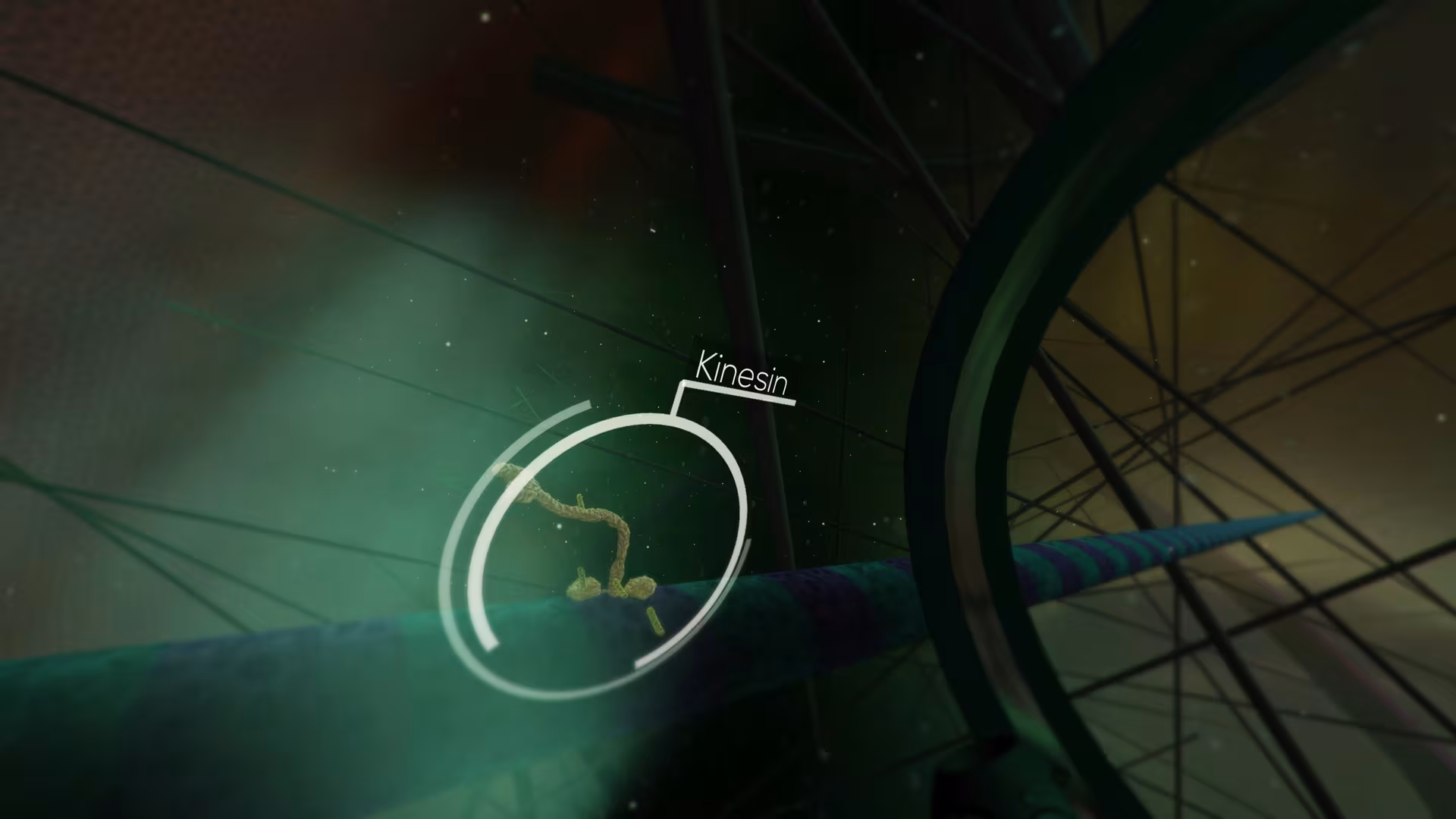 The Body VR: Journey Inside a Cell - the-body-vr-journey-inside-a-cell_5.avif
