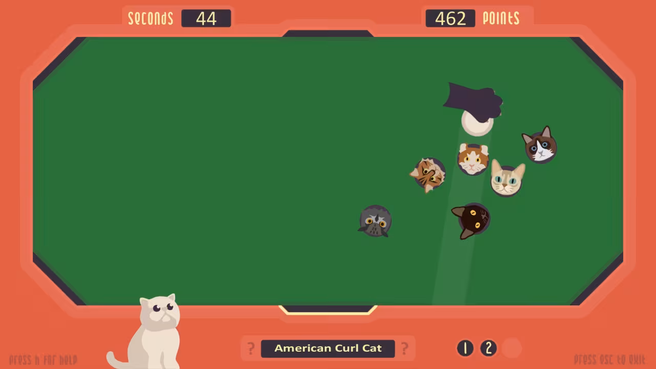 The Cat Games - the-cat-games_3.avif