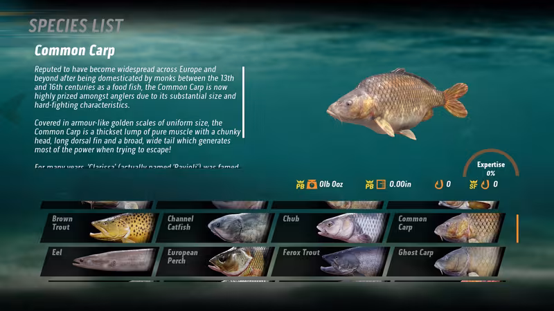 The Catch: Carp & Coarse Fishing - the-catch-carp-coarse-fishing_3.avif