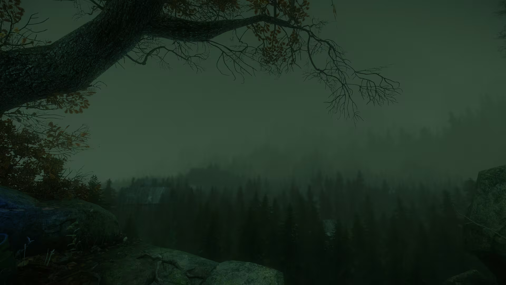 The Cursed Forest - the-cursed-forest_2.avif