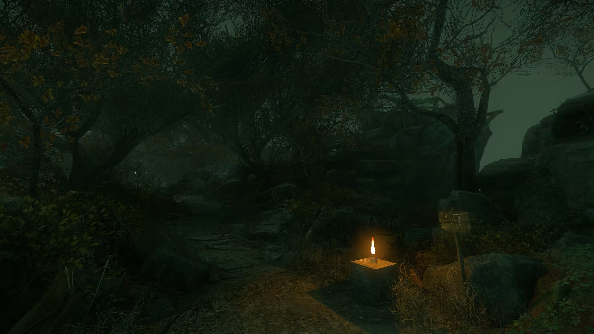 The Cursed Forest - the-cursed-forest_4.avif