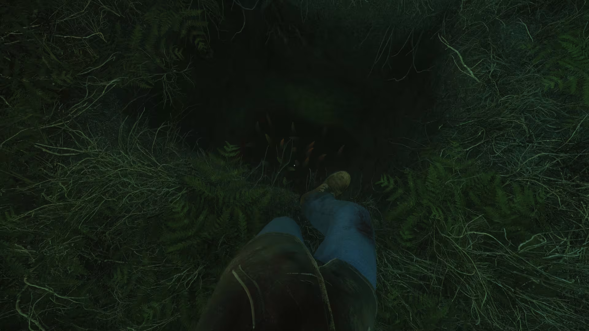 The Cursed Forest - the-cursed-forest_6.avif