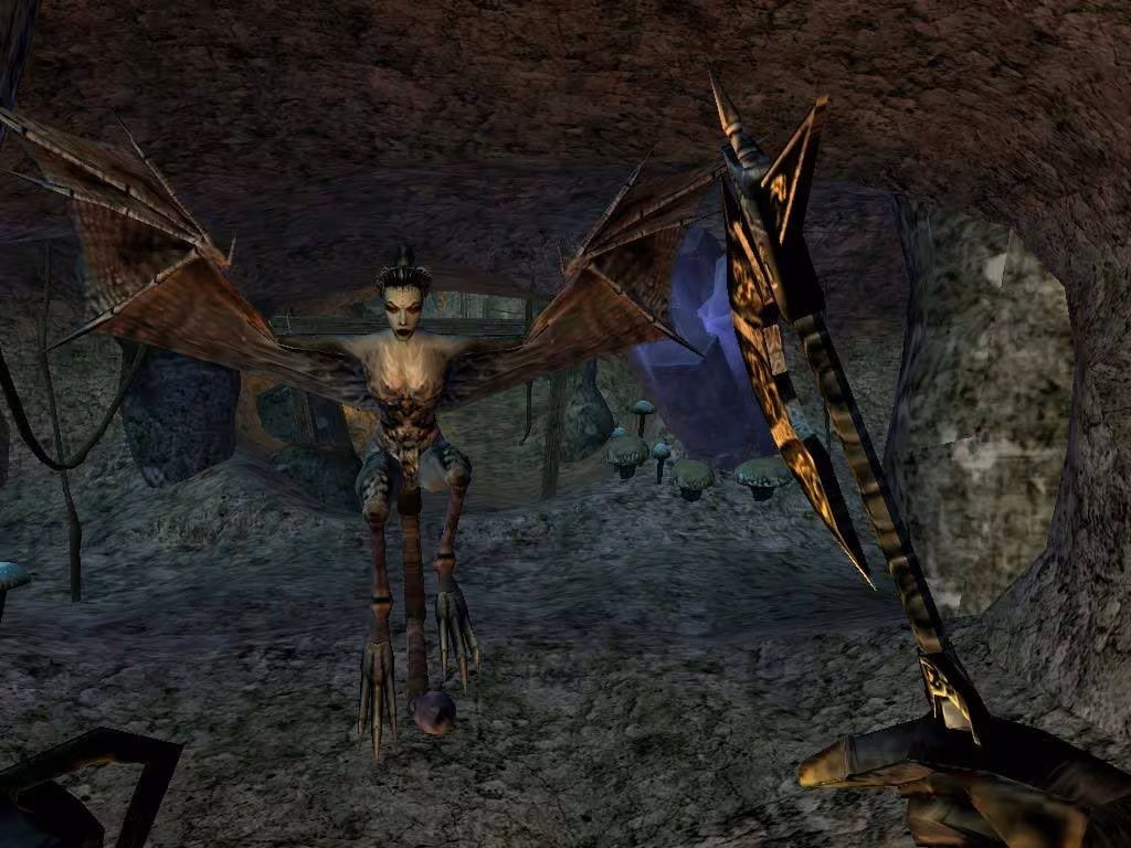 The Elder Scrolls III: Morrowind® Game of the Year Edition - the-elder-scrolls-iii-morrowind-game-of-the-year-edition_6.avif
