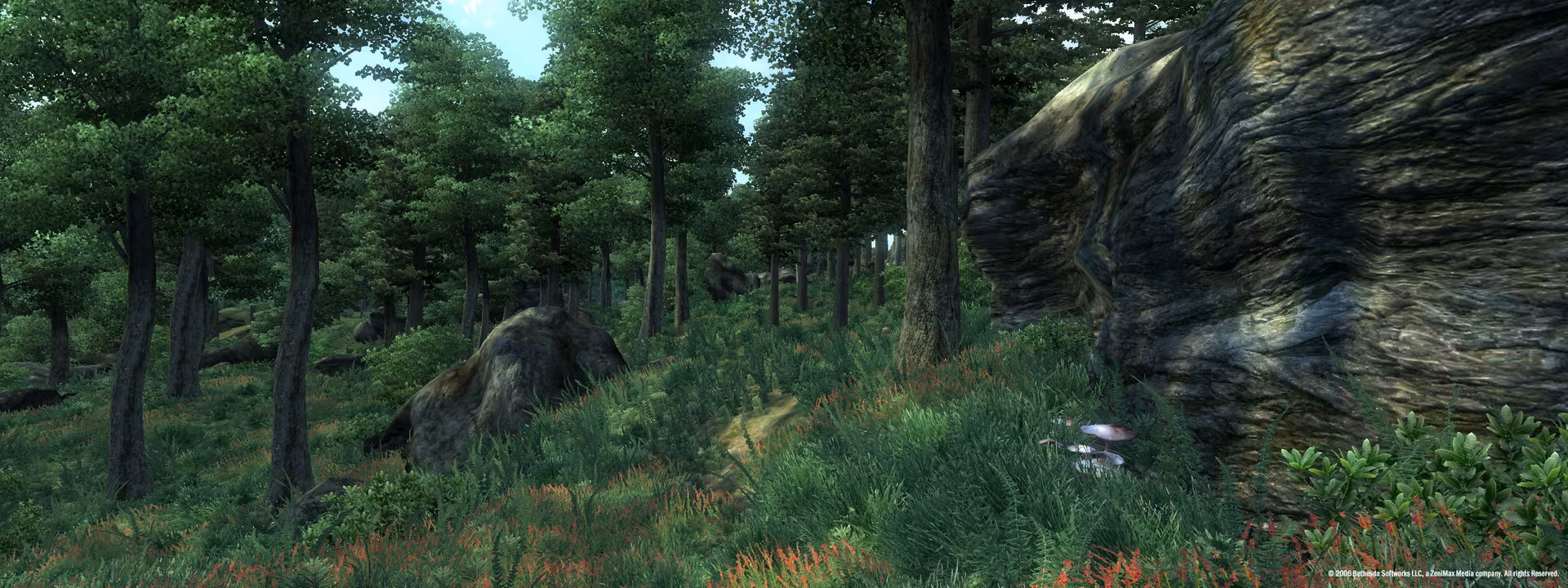 The Elder Scrolls IV: Oblivion® Game of the Year Edition (2009) - the-elder-scrolls-iv-oblivion-game-of-the-year-edition-2009_2.avif