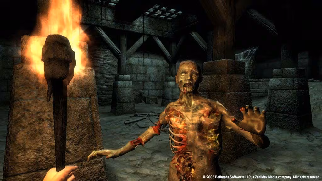 The Elder Scrolls IV: Oblivion® Game of the Year Edition (2009) - the-elder-scrolls-iv-oblivion-game-of-the-year-edition-2009_6.avif