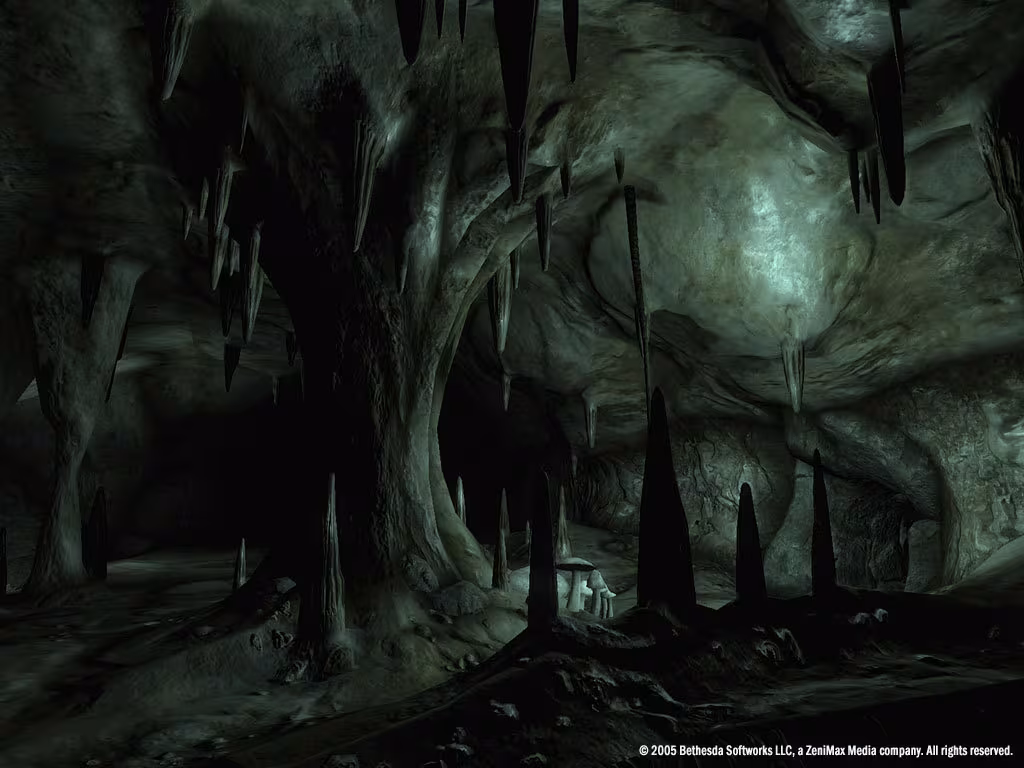 The Elder Scrolls IV: Oblivion® Game of the Year Edition Deluxe (2009) - the-elder-scrolls-iv-oblivion-game-of-the-year-edition-deluxe-2009_4.avif