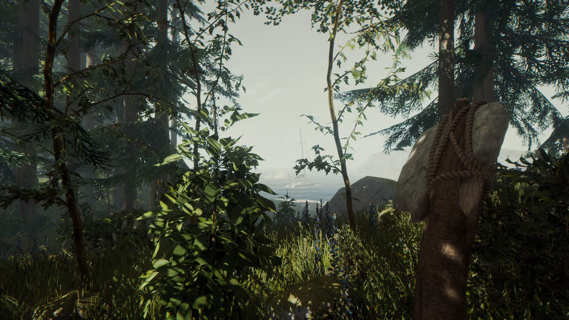 The Forest - the-forest_4.avif