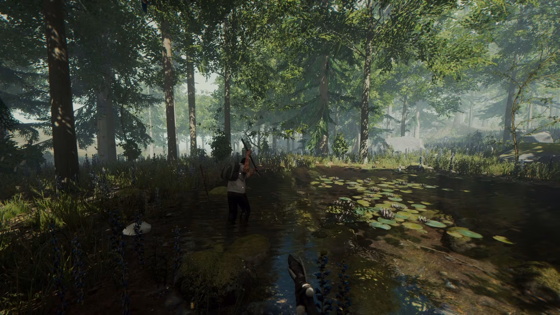 The Forest - the-forest_6.avif