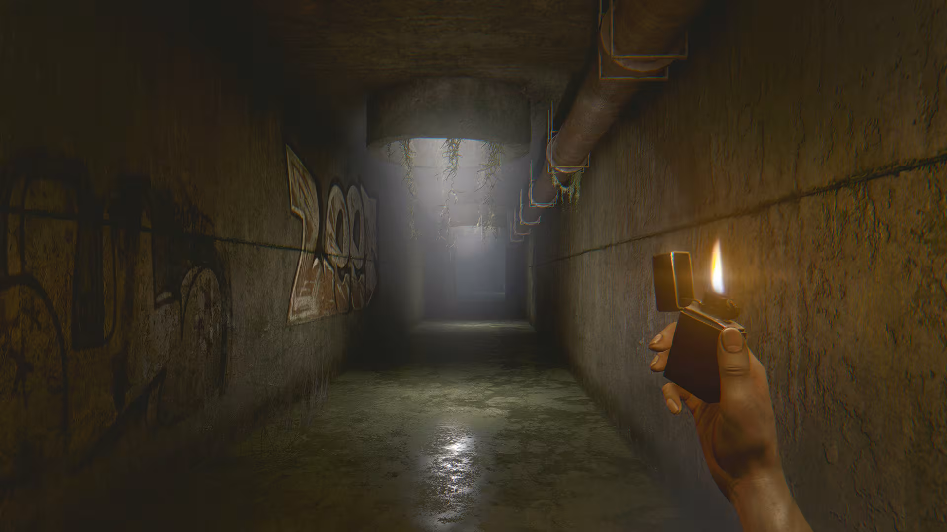 The Light Remake - the-light-remake_6.avif