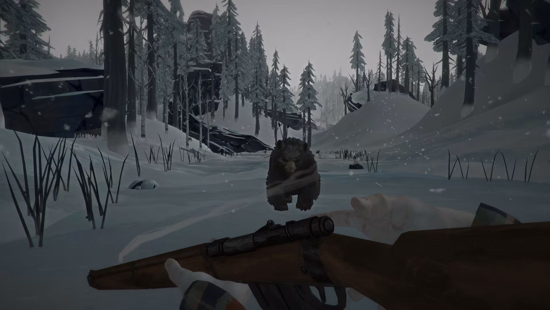 The Long Dark - the-long-dark_4.avif