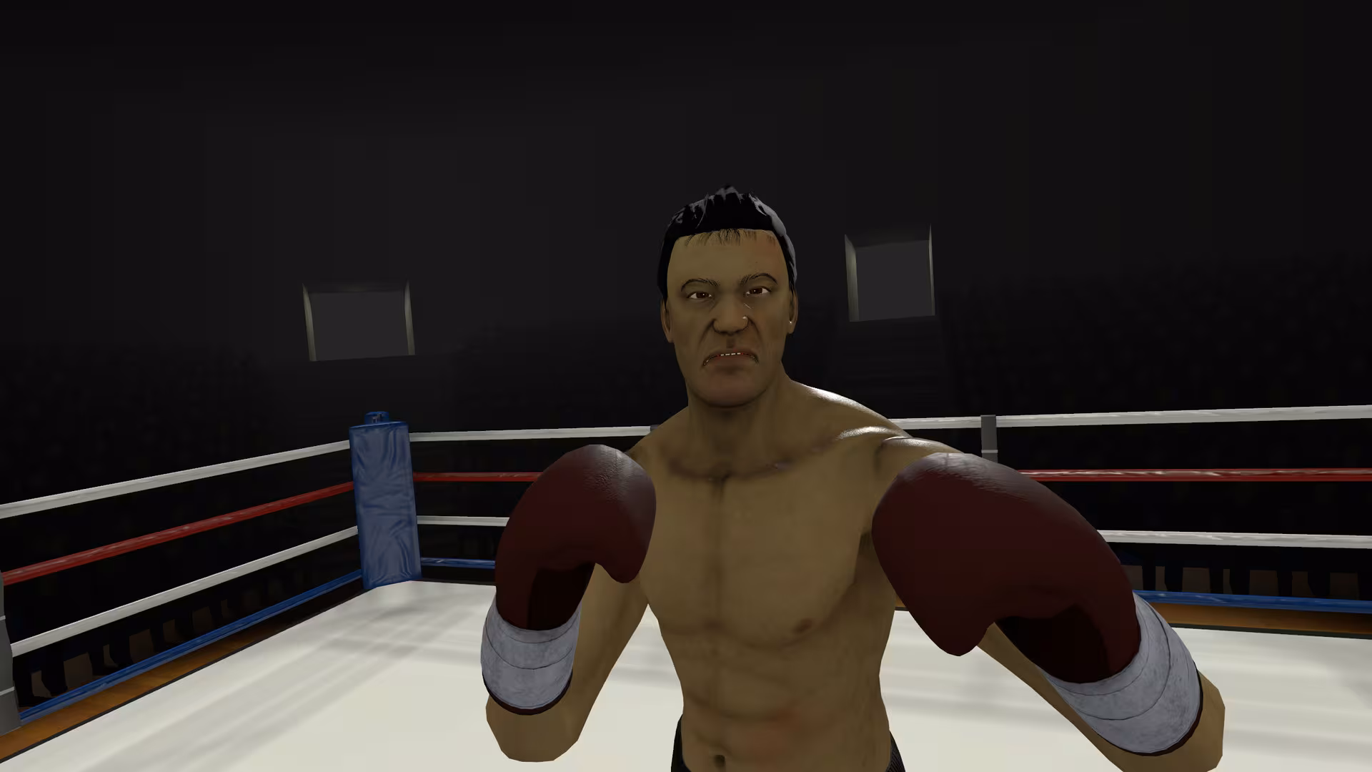 The Thrill of the Fight - VR Boxing - the-thrill-of-the-fight-vr-boxing_4.avif