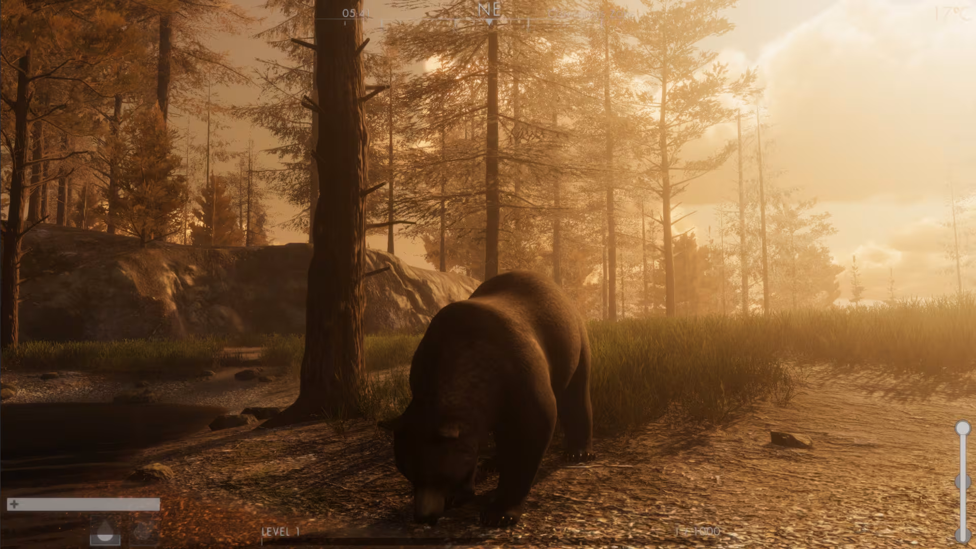 The WILDS - the-wilds_2.avif
