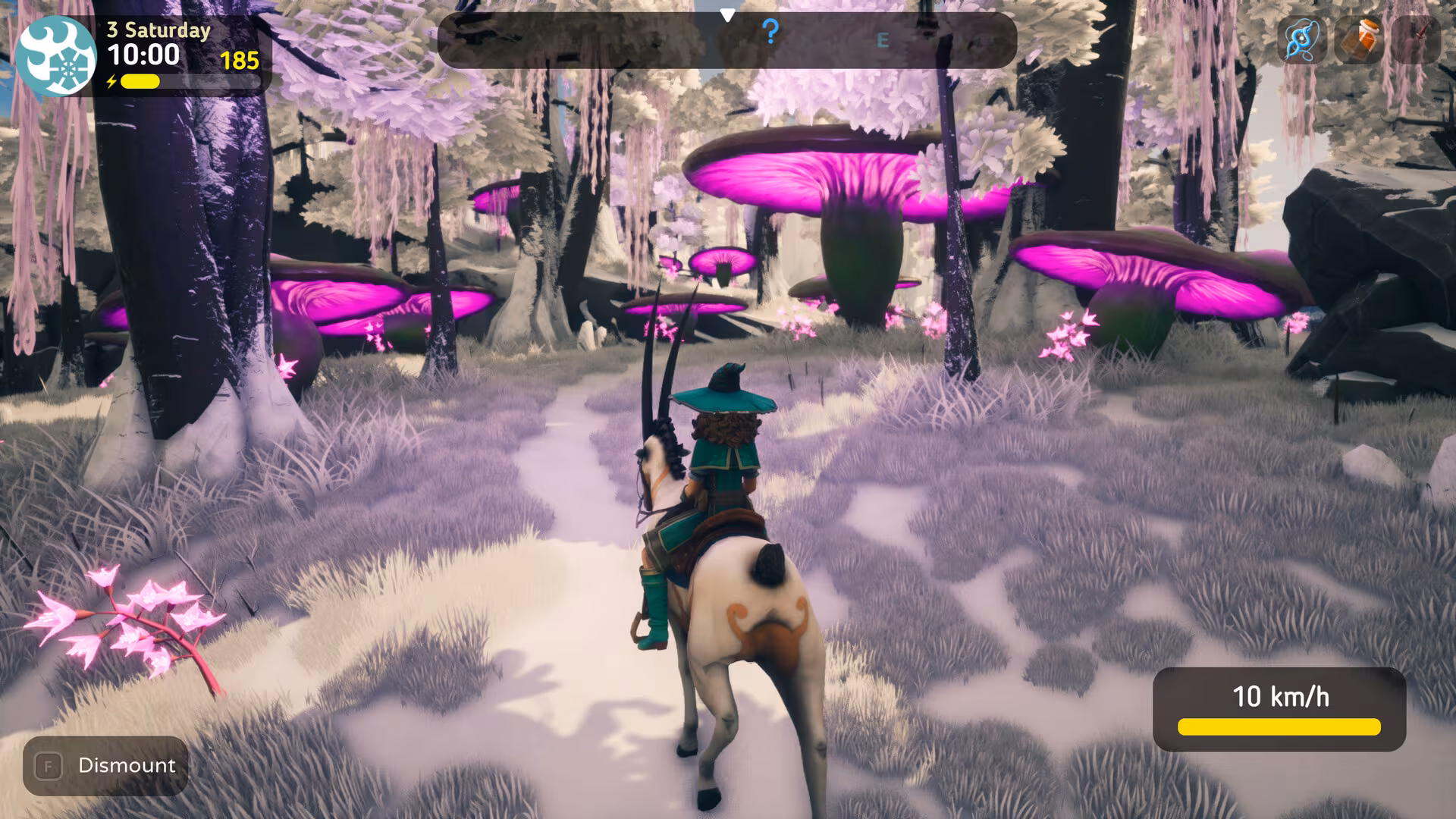 The Witch of Fern Island - the-witch-of-fern-island_4.avif