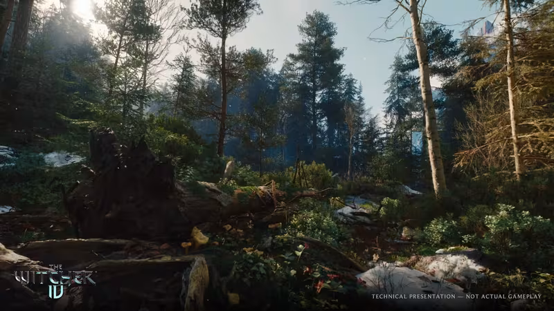 The Witcher IV - the-witcher-iv_6.avif