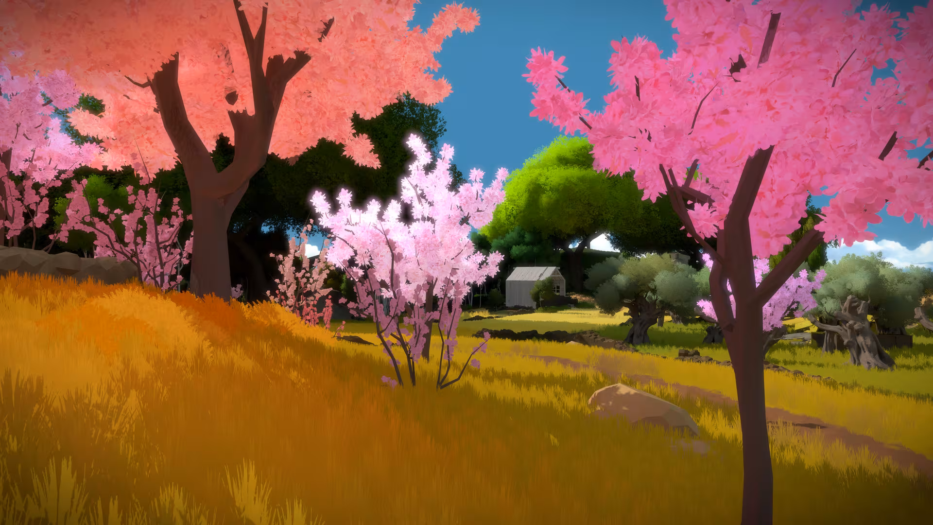 The Witness - the-witness_4.avif