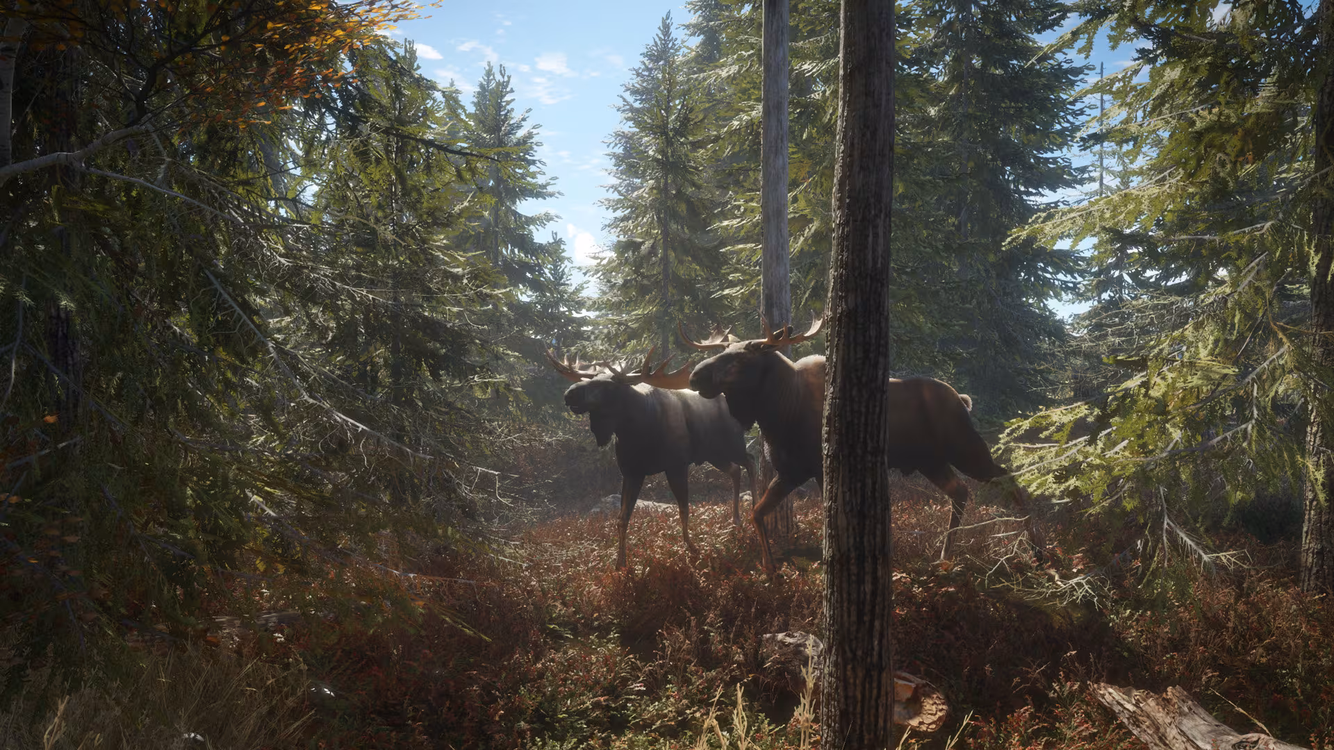 theHunter: Call of the Wild™ - thehunter-call-of-the-wild_1.avif