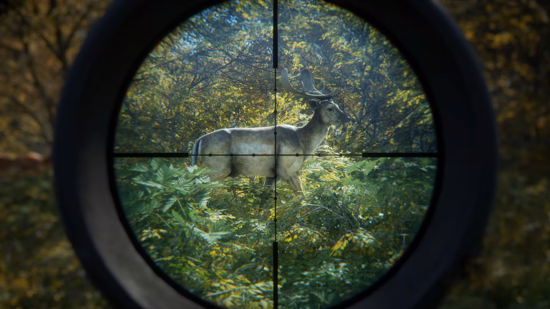 theHunter: Call of the Wild™ - thehunter-call-of-the-wild_3.avif