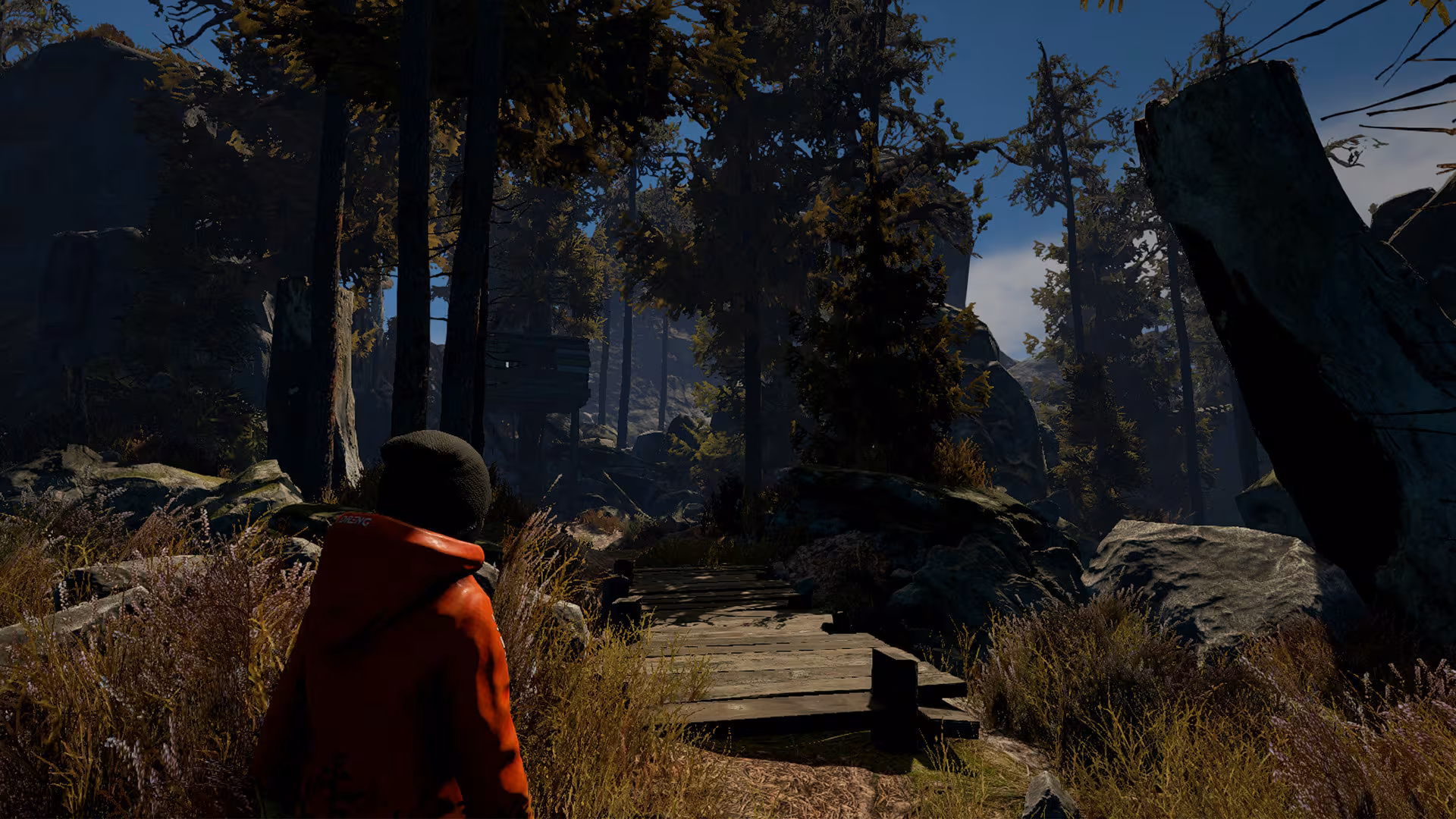 Through the Woods - through-the-woods_3.avif