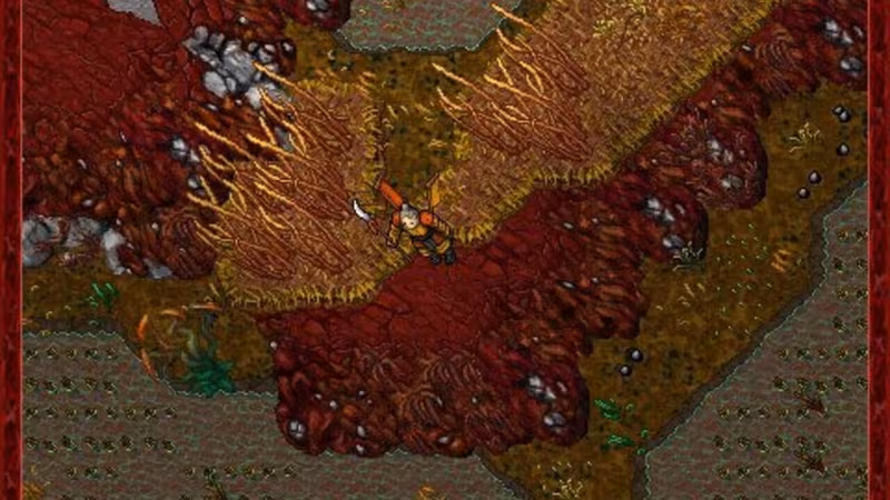 Tibia - tibia_2.avif