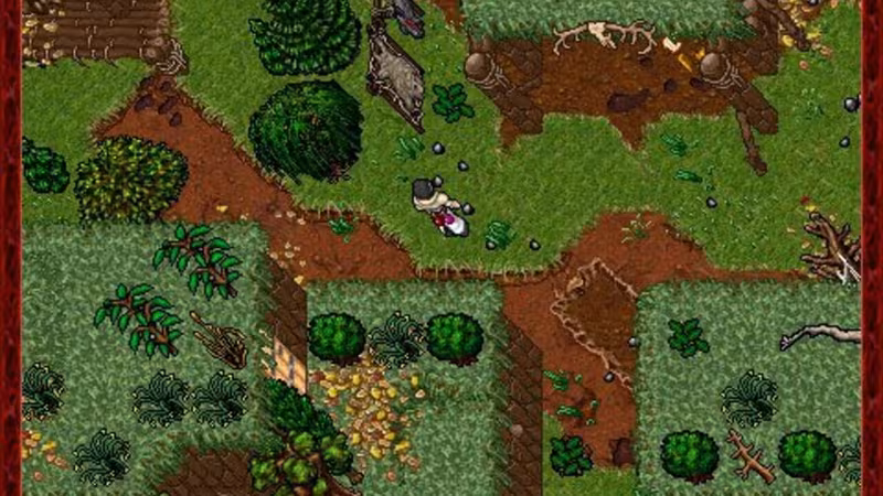 Tibia - tibia_3.avif