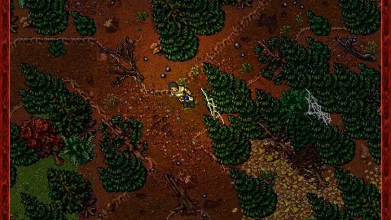 Tibia - tibia_4.avif