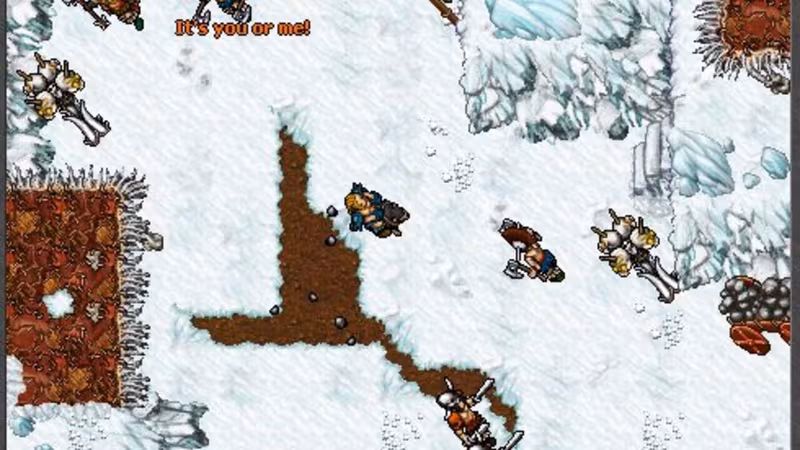 Tibia - tibia_5.avif