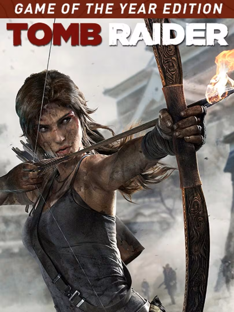 Capsule for Tomb Raider Game of the Year
