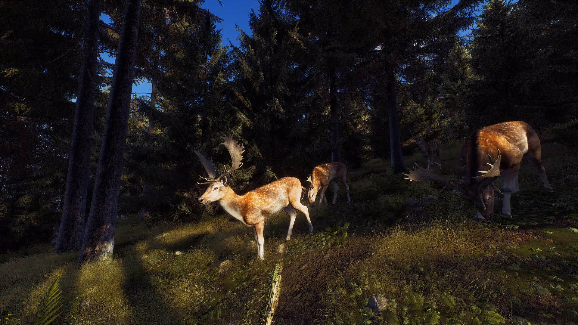 Way of the Hunter - way-of-the-hunter_2.avif