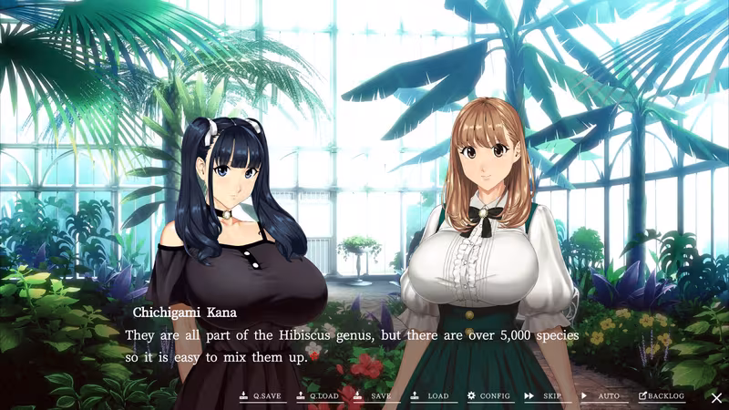 Welcome to Maison Chichigami - welcome-to-maison-chichigami_3.avif