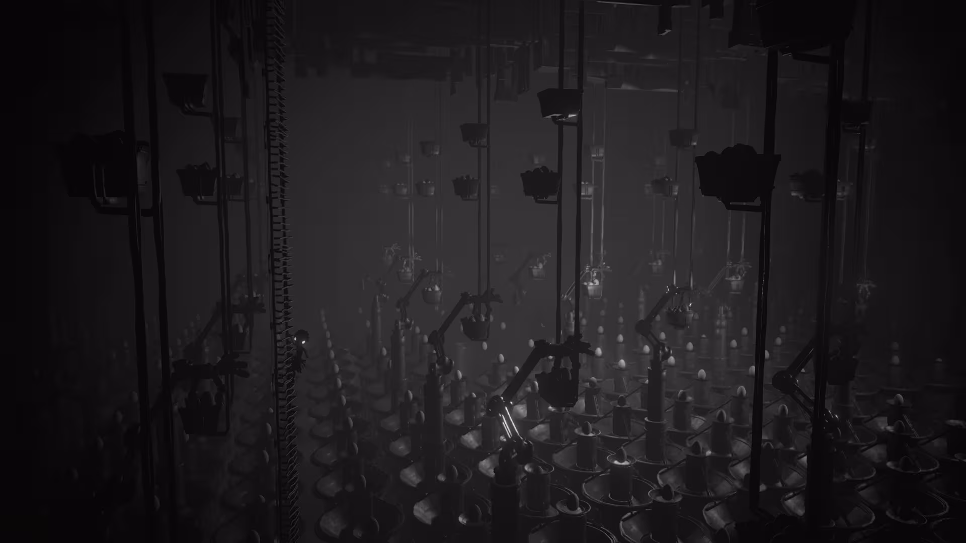White Shadows - white-shadows_4.avif