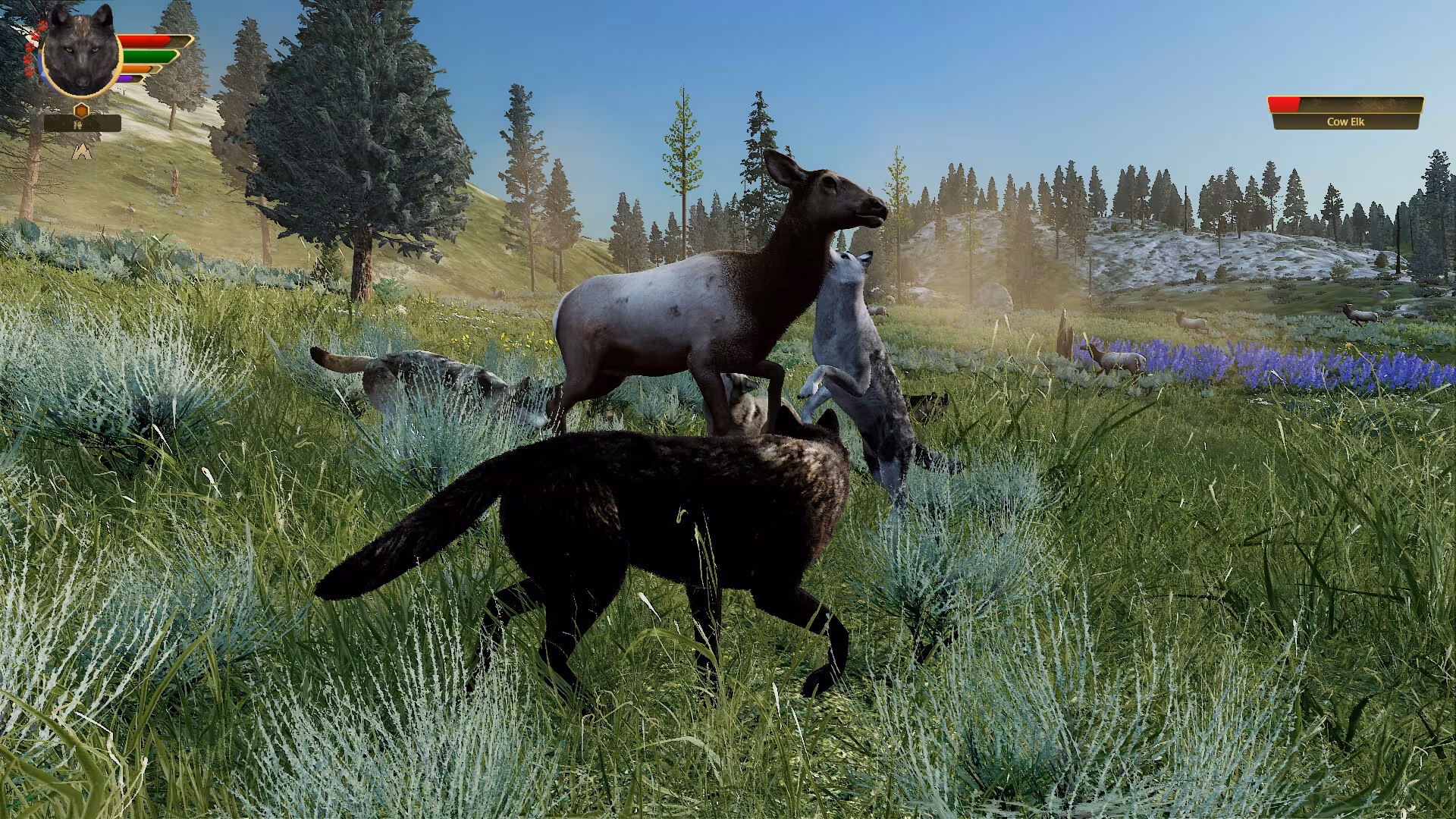 WolfQuest: Anniversary Edition - wolfquest-anniversary-edition_5.avif