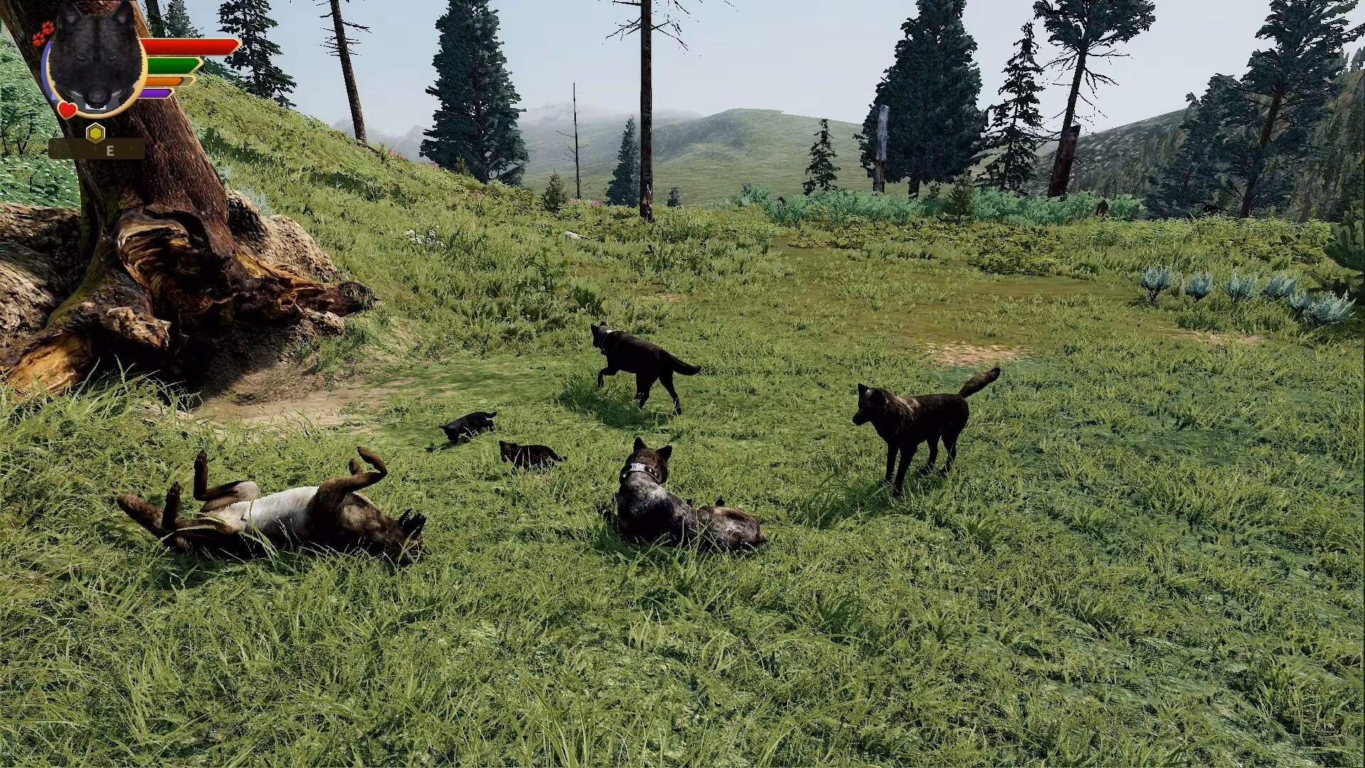 WolfQuest: Anniversary Edition - wolfquest-anniversary-edition_6.avif