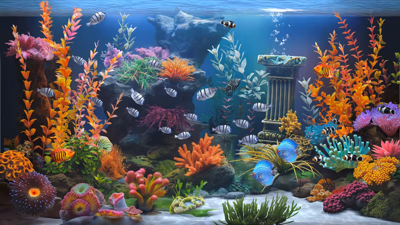Zen Aquarium - zen-aquarium_5.avif