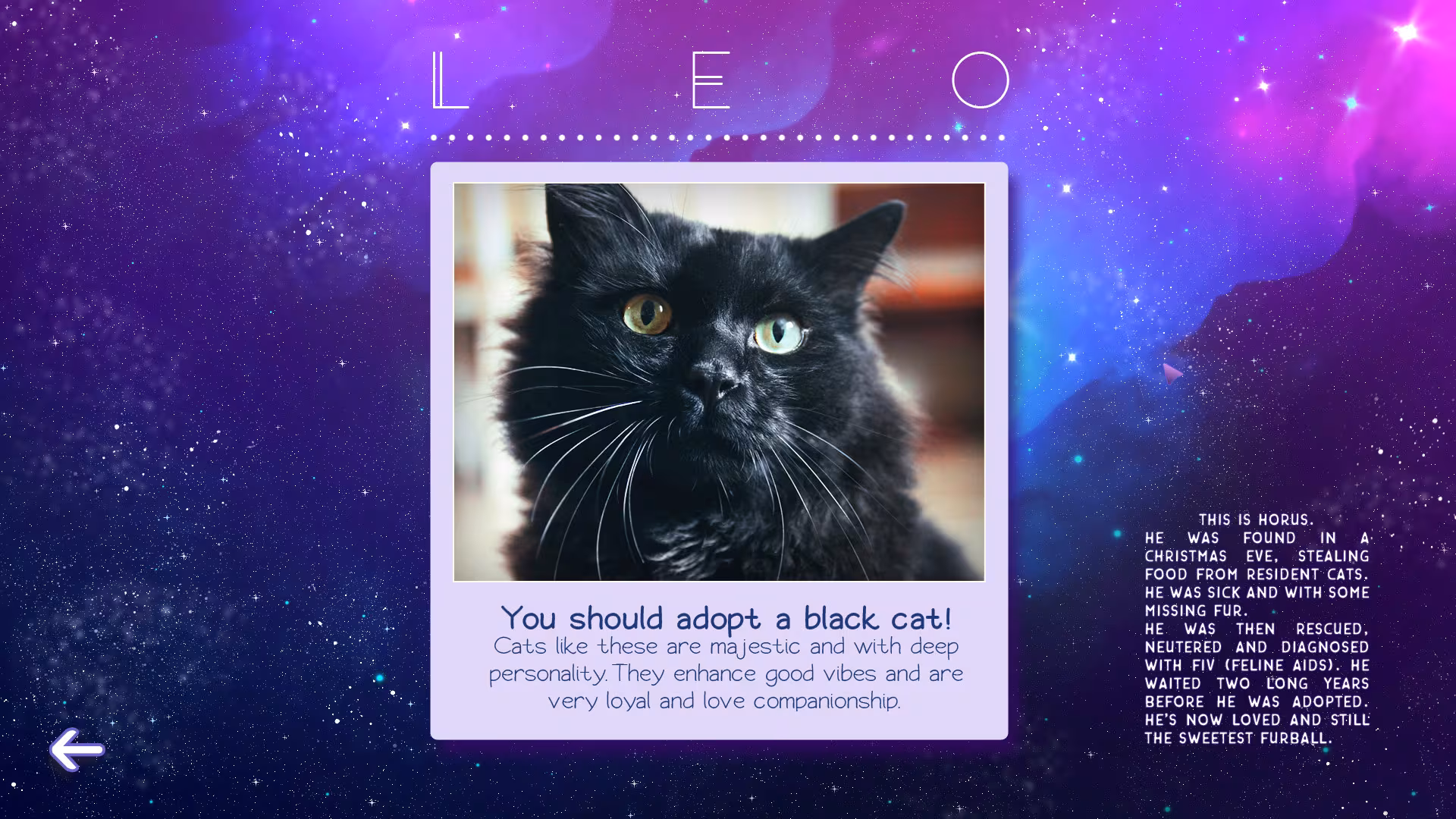 Zodiacats - zodiacats_6.avif